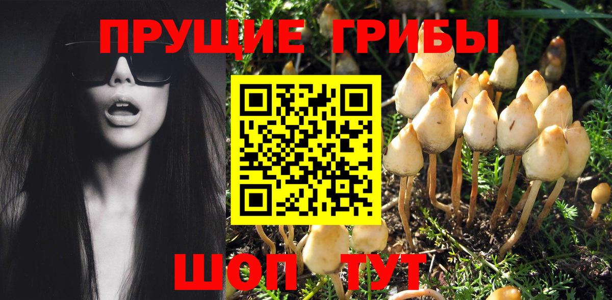 Галлюциногенные грибы Cubensis  Галлюциногенные грибы MAGIC MUSHROOMS  Вход с VPN  Ефремов 