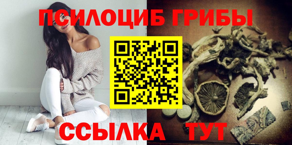 Псилоцибиновые грибы Cubensis Ефремов